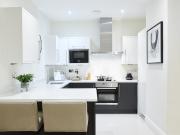 1 bed flat to rent
