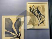 1 Bed Full Furnish Apartment Top City 1