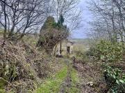 1 bed house for sale