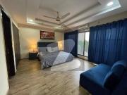 1 Bed Luxurious Fully Furnished Apartment For Rent