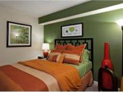 1 Bed Plainview Apartments