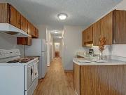 1 Bed X 1 Bath Apartment For Rent On 147th Ave | $1195.00