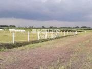 1 Bedroom 1000 Sq.Ft. Independent House in Bellary Road...