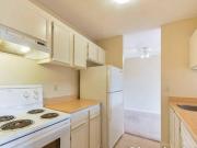 1 Bedroom 17104 75 Ave NW
