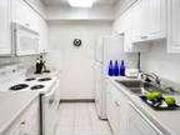 1 Bedroom 1 Bath In Washington DC 20008