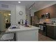 1 Bedroom 1 Bath In Wesley Chapel FL 33543
