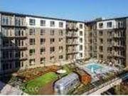 1 Bedroom 1 Bathroom $1425/Month