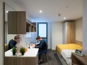 1 Bedroom, 1 Bathroom