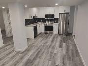 1 bedroom 1 bathroom basement for rent in Douglas Glen SE