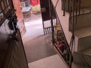 1 Bedroom 400 Sq.Ft. Apartment in New Ashok Nagar Delhi...