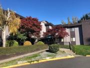 1 Bedroom Apartment Abbotsford BC 44279613