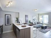 1 Bedroom Apartment Calgary AB 44282049