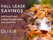 1 Bedroom Apartment Calgary AB 78020469