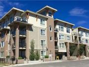 1 Bedroom Apartment Calgary AB 94987859