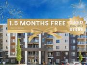 1 Bedroom Apartment Calgary AB 96296290