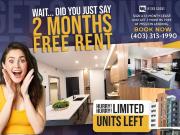 1 Bedroom Apartment Calgary AB 96340398