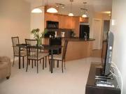 1 Bedroom Apartment Calgary AB LS91010445