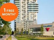 1 Bedroom Apartment Coquitlam BC 96587338