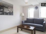 1 Bedroom Apartment Dublin Dublin D02 AE17 DS52897335