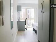 1 Bedroom Apartment Dublin Dublin D07 C956 DS65791793