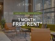 1 Bedroom Apartment Edmonton AB 91351776