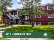 1 Bedroom Apartment Edmonton AB 96251615