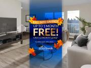 1 Bedroom Apartment Edmonton AB 96277456