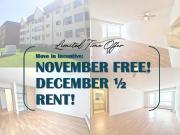 1 Bedroom Apartment Edmonton AB 96299358