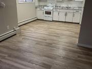 1 Bedroom Apartment Edmonton AB 96336093