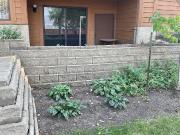 1 Bedroom Apartment Edmonton AB 97329148