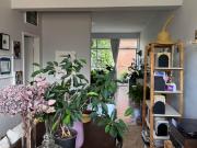 1 Bedroom Apartment / Flat For Sale in Parktown