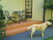 1 Bedroom Apartment / Flat To Rent in Brooklyn