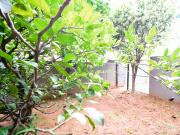 1 Bedroom Apartment / Flat To Rent in Houghton Estate