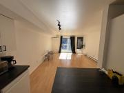 1 Bedroom Apartment for Rent at 1038 Place Pierre...