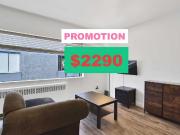 1 Bedroom Apartment for Rent at 1540 Haro Street #207,...