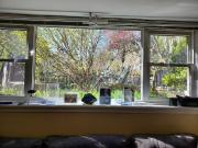 1 Bedroom Apartment for Rent at 21 Love Crescent,...