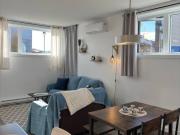 1 Bedroom Apartment for Rent at 237 Rue Du Pirée...