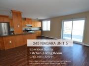 1 Bedroom Apartment for Rent at 245 Niagara Street #5,...