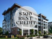 1 Bedroom Apartment for Rent at 3030 Gladwin Road #207,...