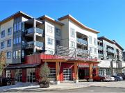 1 Bedroom Apartment for Rent at 3054 Gladwin Road #301,...