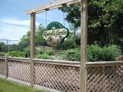 1 Bedroom Apartment for Rent at 420 Redding Rd,...