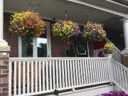 1 Bedroom Apartment for Rent at 60 Strathcona Ave,...