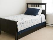 1 Bedroom Apartment for Rent at 91 Ave & 152 St, Surrey,...