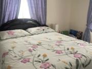 1 Bedroom Apartment for Rent at Hummingbird Dr & Pinoak...