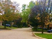 1 Bedroom Apartment for Rent at Mineola Road West,...