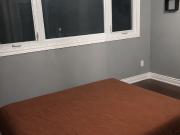 1 Bedroom Apartment for Rent at Peterson St & Adrian...