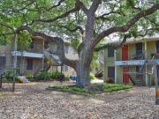 1 Bedroom Apartment for Rent at W Oltorf St & S 6th St...