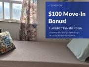 1 Bedroom Apartment for Rent at Wyvern Rd & Ruddington...