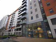 1 bedroom apartment for rent in 1002 Barton Place,...