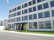 1 bedroom apartment for rent in Carnation Gardens,...